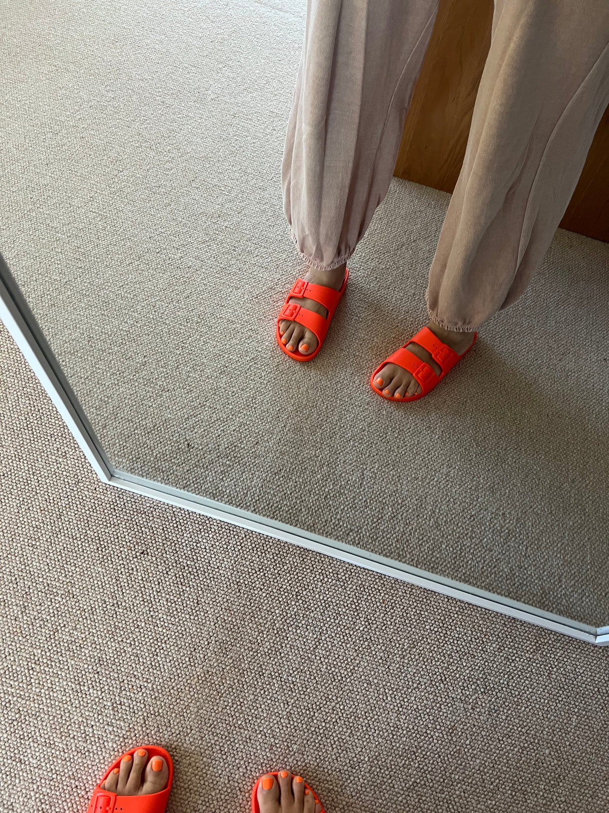 FREEDOM MOSES Slides