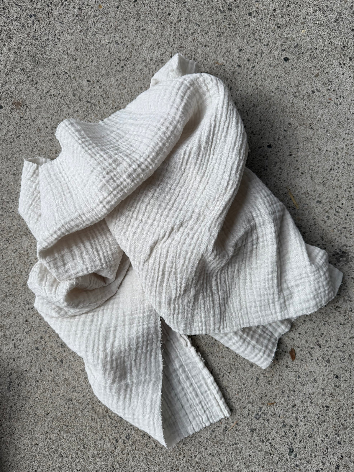 The Bragg Pant (PRE-ORDER END SEPT DELIVERY MUSK AND BONE)