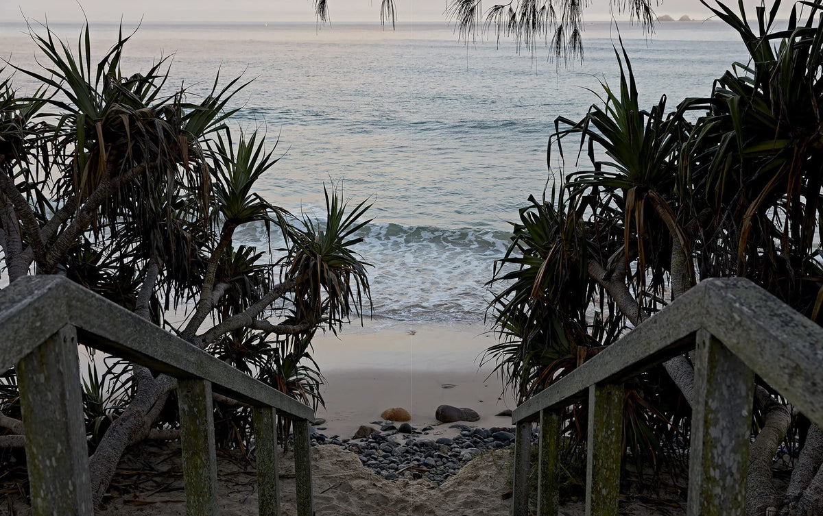 Home By The Sea Book