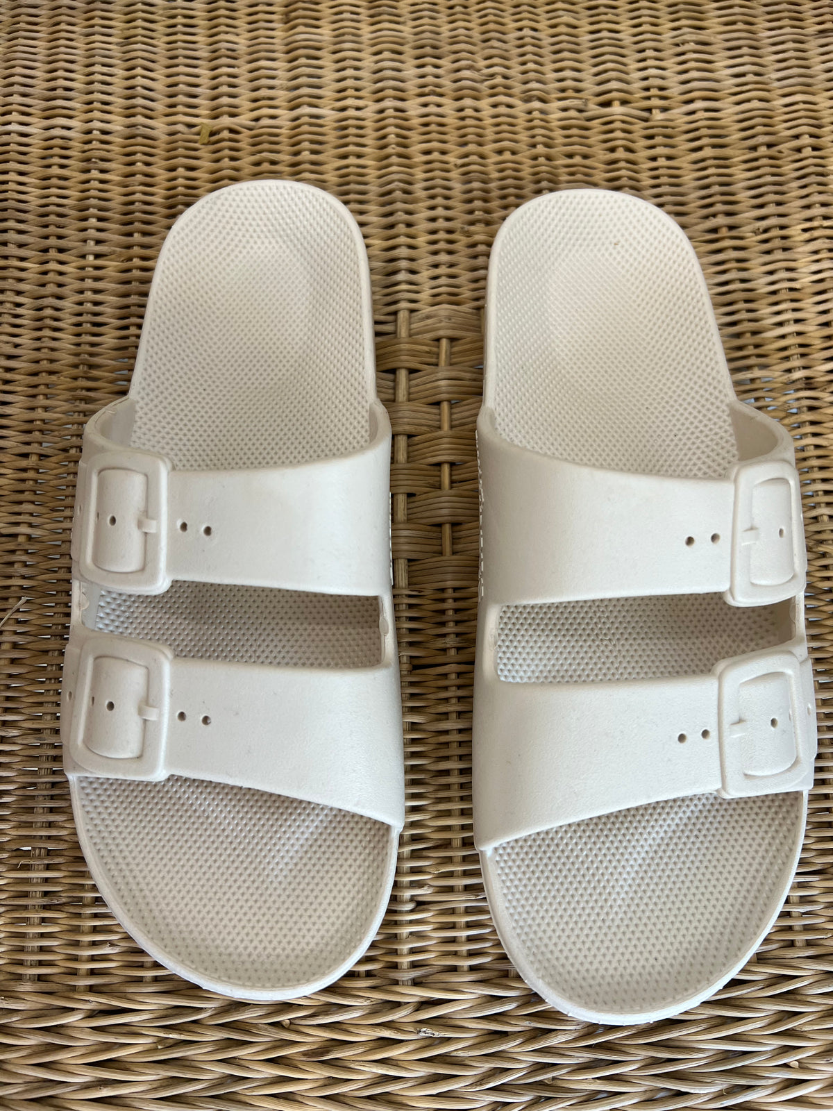 FREEDOM MOSES Slides